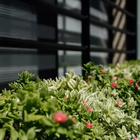 アパート Domus - Orazio - バーリ