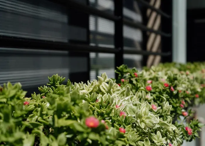 Appartement Domus - Orazio - Bari